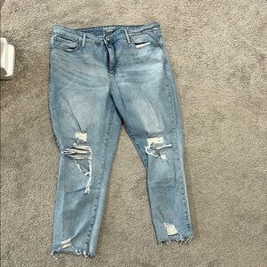 Denizen from Levi's Blue Ankle Cropped Jeans